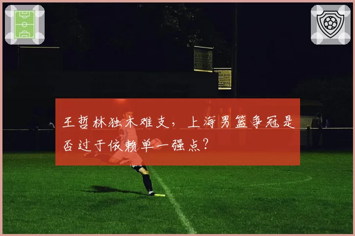王哲林独木难支，上海男篮争冠是否过于依赖单一强点？