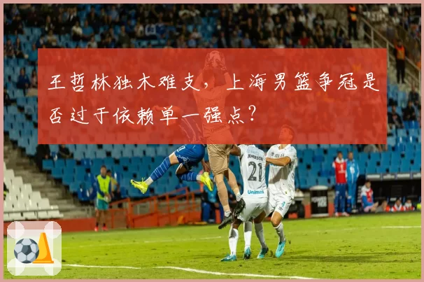 王哲林独木难支，上海男篮争冠是否过于依赖单一强点？