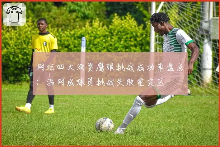 网坛四大满贯鹰眼挑战成功率盘点：温网成球员挑战失败重灾区